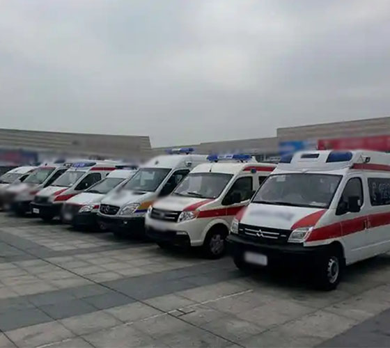 河南蒙古族自治县服务车队展示